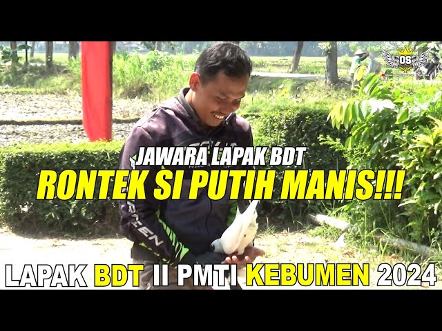 RONTEK SI PUTIH MANIS‼️LAPAK BDT PMTI KEBUMEN 2024 class=