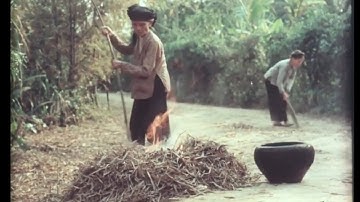 Phong cảnh làng quê Bắc Bộ Việt Nam xưa.Phần 5.