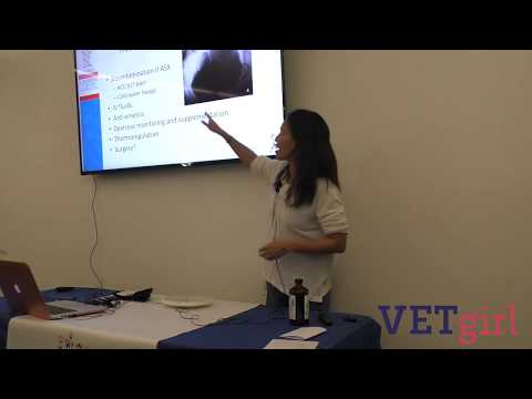 वीडियो: कुत्तों में इथेनॉल विषाक्तता