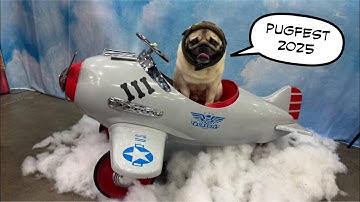 PugFest 2025