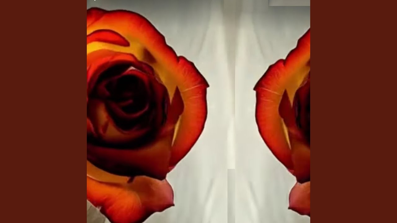 Roses Metal Guitar Playthroughs