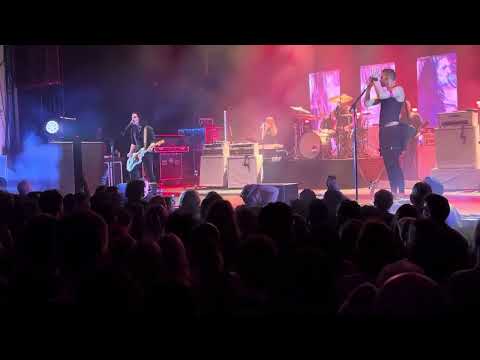 [Clip] Placebo -