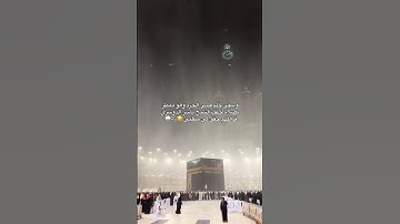 تلاوة خاشعة من القرآن الكريم تهز القلوب | Kingdom Quraan