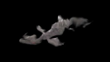 COCOAUB - Morph 1 Nessie