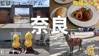 【奈良】ドライブ🚙奈良監獄ミュージアム｜中西ピーナッツ｜植村牧場｜奈良公園