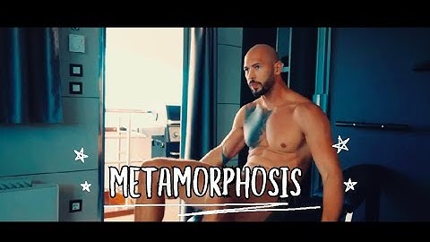 Andrew Tate - METAMORPHOSIS #topg #matrix #tatespeech #tatebrothers #tatebrothers #freetopg