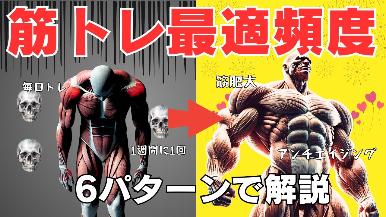 【筋トレ科学】筋力トレーニングの最適頻度　~筋肉量・筋力増強・維持・アンチエイジング・健康レベル~