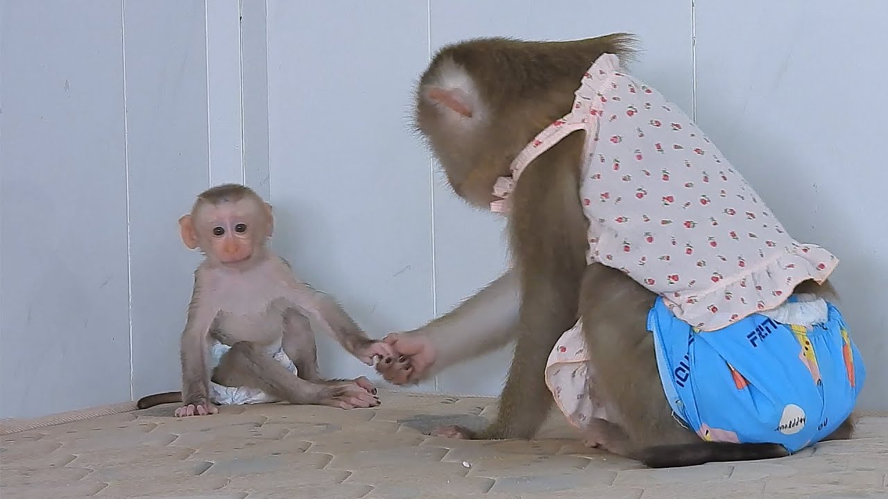 Mommy Luna Talking And Cares Newborn Luka