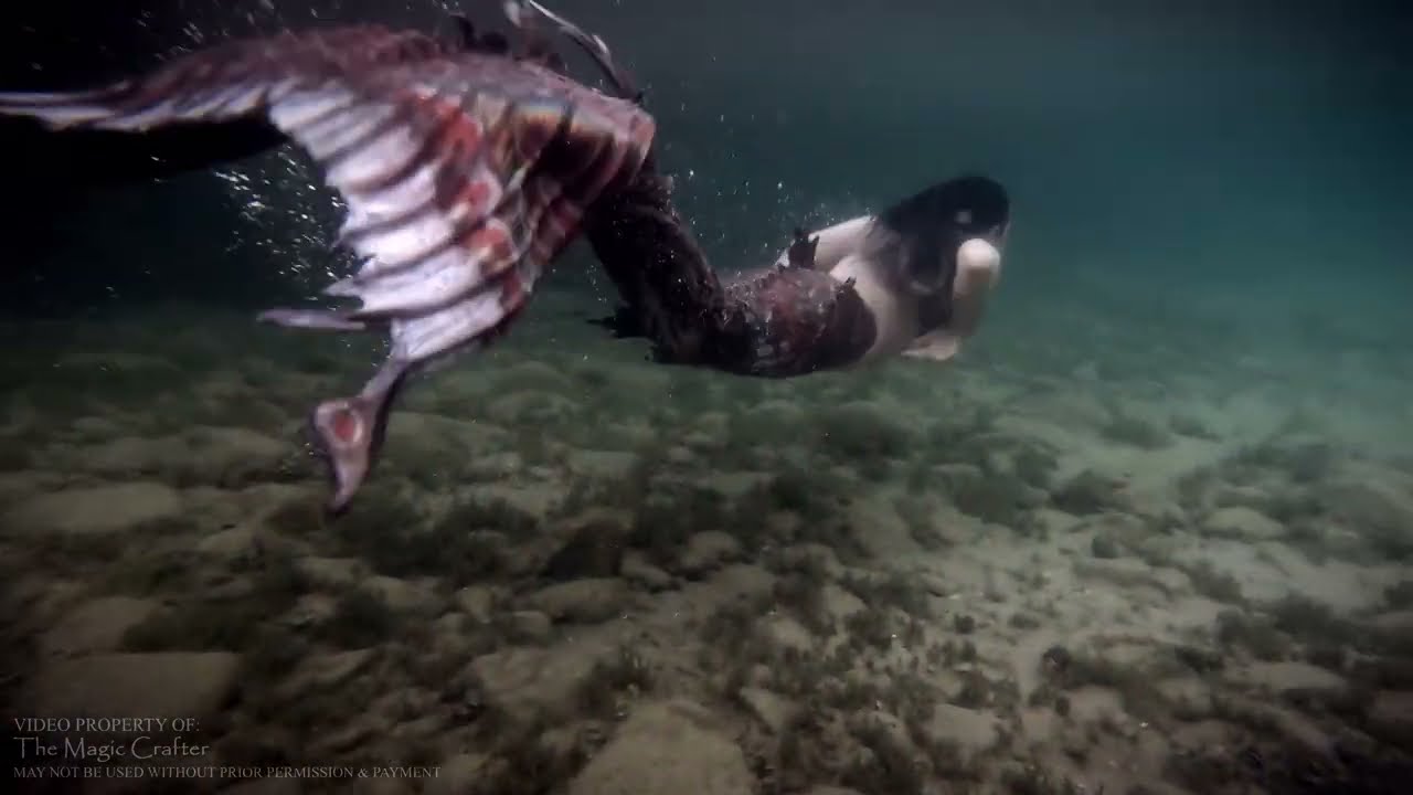 COLORSHIFTING SIREN - Dark Gothic Mermaid swimming at Night (on the hunt for her next victim)