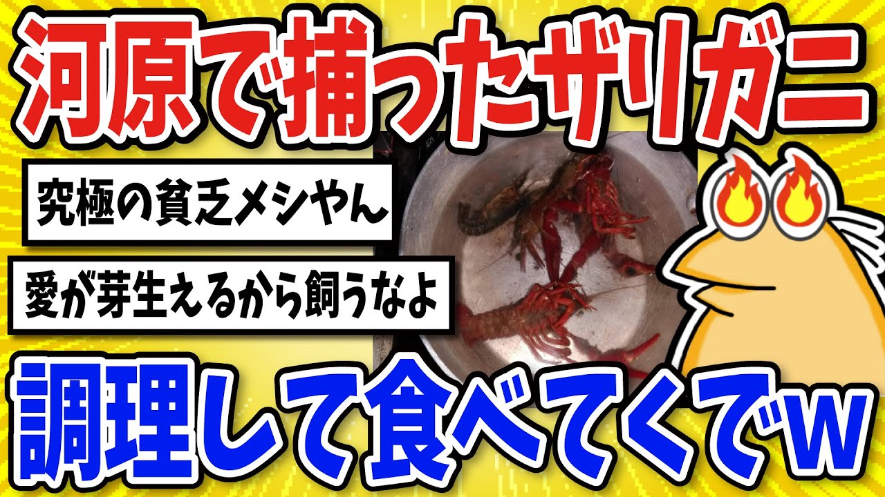 【2ch面白いスレ】河原でザリガニとってきたから調理して食べるよｗｗ【グルメ料理】