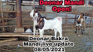 Deonar Bakra Mandi live update with prices|| 08/05/2021