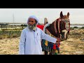 الهجرة للشيخ الشاعر عبدالكريم بو جديدة
