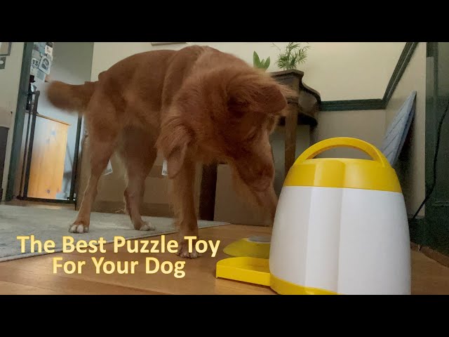 Mental Stimulation for Dogs - Toller Edition - Puzzle Ball 