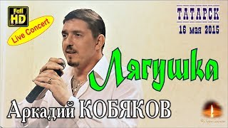 Live Concert/ Аркадий Кобяков - Лягушка (Татарск, 16.05.2015)