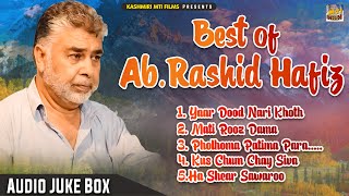 Best Of Abdul Rashid Hafiz || Non-Stop Best Kashmiri Folk Songs || @KashmiriMtiFilms