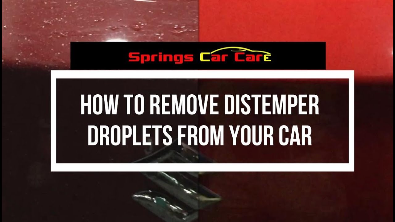 How To Remove Distemper Droplets From Your Car? YouTube