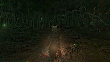 Dark Souls 3 Convergence Mod Druid Run Part 3