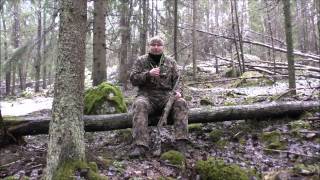 Download Lagu Verminator syco tweety MP3