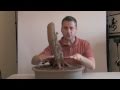 How to Bonsai - develop  Nebari - Surface Roots