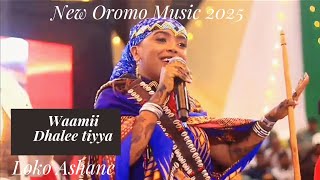 Loko_Ashane_New_Oromo_Borana Music_2025_Waamii_Dhalee_Tiyya_2025
