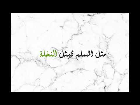 حديث و فوائد حلقة 14 مثل المسلم كمثل النخلة