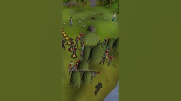 Bots Have Ruined the Integrity of the Hiscores #gaming #runescape #osrs #bots #saebaecast