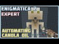 Automating Actually Additions Canola Oil - Minecraft: Enigmatica 2 Expert #68