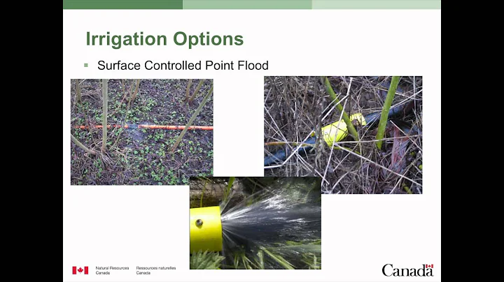 Richard Krygier - Short Rotation Woody Crops: Wast...