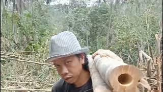 Perjuangan seorang suami untuk istri dan anaknya.