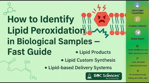 How to Identify Lipid Peroxidation in Biological Samples – Fast Step-by-Step Guide — BOC Sciences