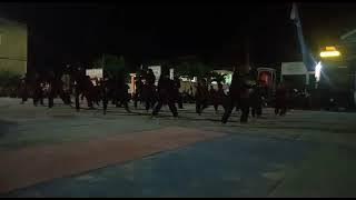 pencak silat TTKKDH pringsewu