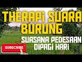Therapi Suara Burung Suasana Pedesaan Di Pagi Hari Mp3 - Mp4 Download