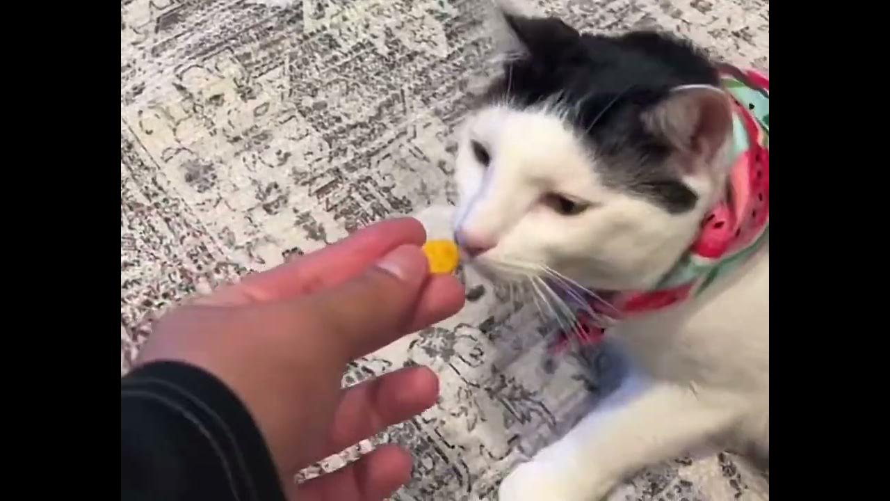 melon is not liking what she be smelling YouTube