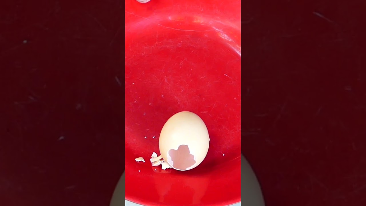 I turn PVC Pipe Recovery Egg Leaking