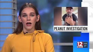 Chemung County Health Department clarifies role in ‘Peanut the Squirrel’ euthanization