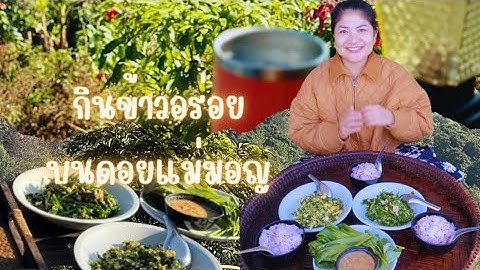 กินข้าวอร่อยๆ บนดอยที่แสนสงบ วิวสวย คนน้อย ดอยแม่มอญ เชียงราย | พาฟิน กินนัว