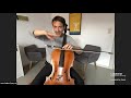 Bach Cello Suites - Suite 2, Menuets: Play the lute! Featuring cellist Pieter Wispelwey