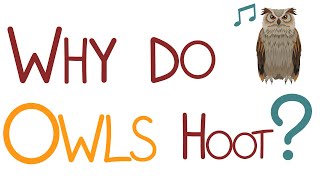 Why Do Owls Hoot?