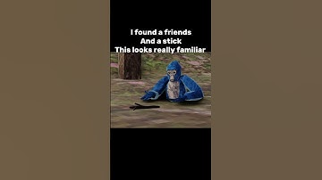 Daisy 09💀 #gorillatag