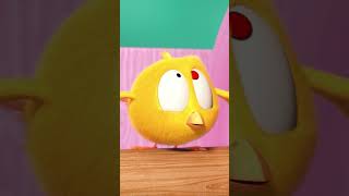 Attacked By Toilet Paper! #Cuteanimals #Shorts #Chicky | Cartoon For Kids