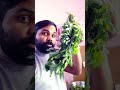 Mini vlogs #shortvideo #ekmotahathighumechala #trending  #comedy #viralvideo #love #food #vlogger