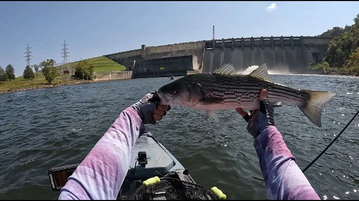 VIOLENT Current, Finding the Stripers: My Sketchiest Kayak Trip at Wolf Creek Dam