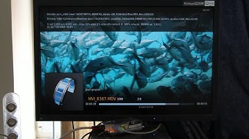 Raspberry Pi (Raspbmc): Full HD via Samba, NFS, SD, and USB