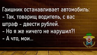 🤡Пьяный Пассажир Ищет Своё Купе...Большой Сборник Смешных Анекдотов,Для Супер Настроения!