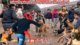 طرق الغش والنصب والصبغ! فى بيع الكلاب! بسوق الجمعه واسعار الكلاب جيرمن روت بيتبول مالينو كين كورس و