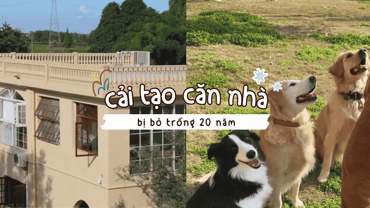 『P1』Tôi và bạn thân đã mua lại căn nhà cũ nhỏ 20 năm không ai ở #caitaonha #douyin #decor