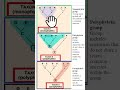Difference between Monophyletic group, Polyphyletic group and Paraphyletic group.