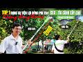 TOP 1 dụng cụ tỉa cành cao dùng pin - cưa tỉa cành cao 2in1không cần thang | Greenworks 40V 2m8