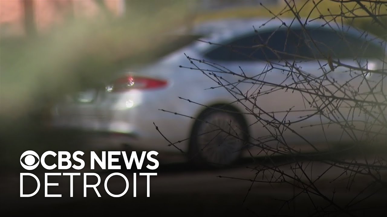 Four arrests made in alleged car theft ring in Southfield - YouTube