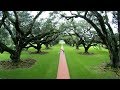 Oak Alley Plantation Walk - Picturesque Historical National Landmark in Louisiana